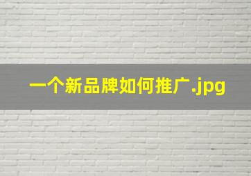 一个新品牌如何推广