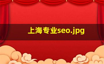 上海专业seo