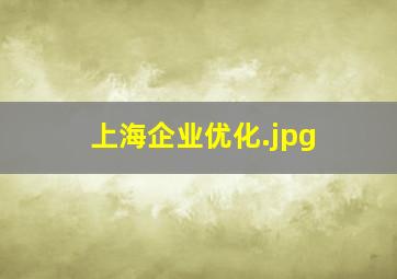 上海企业优化