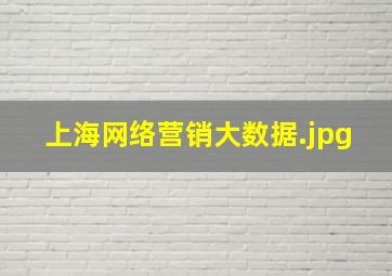 上海网络营销大数据