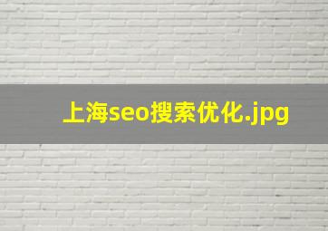 上海seo搜索优化