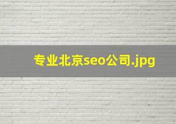 专业北京seo公司