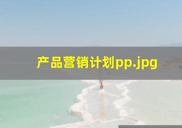 产品营销计划pp