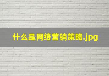 什么是网络营销策略