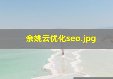 余姚云优化seo