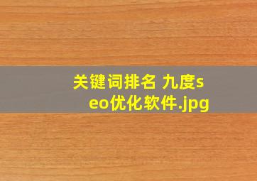 关键词排名 九度seo优化软件