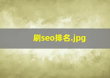 刷seo排名