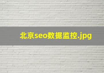 北京seo数据监控