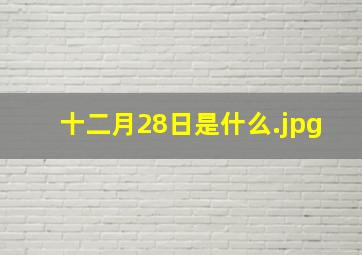 十二月28日是什么