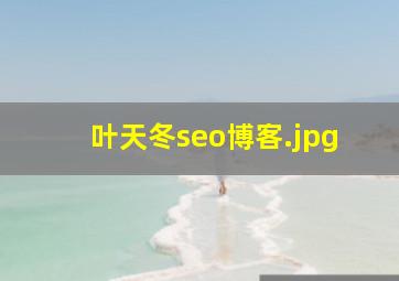 叶天冬seo博客