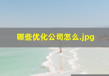哪些优化公司怎么