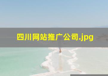 四川网站推广公司