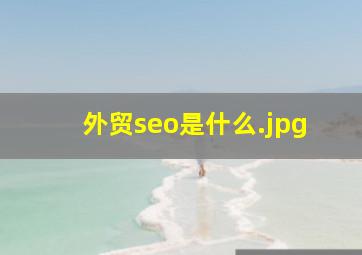 外贸seo是什么