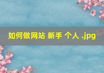 如何做网站 新手 个人 