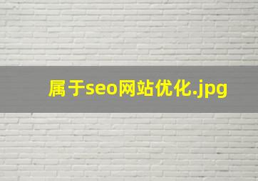 属于seo网站优化