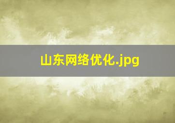 山东网络优化