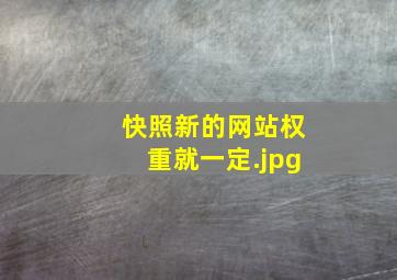 快照新的网站权重就一定