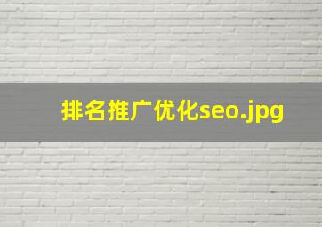 排名推广优化seo