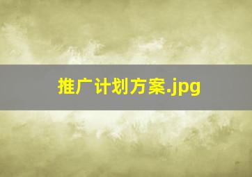 推广计划方案