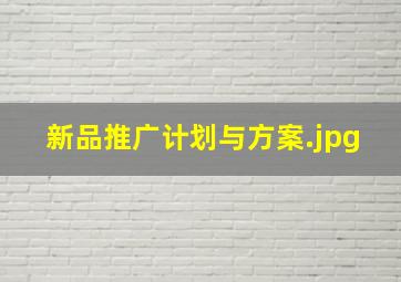 新品推广计划与方案
