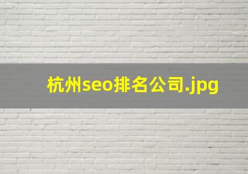 杭州seo排名公司