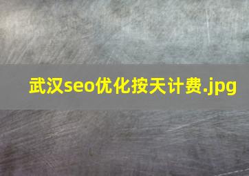 武汉seo优化按天计费