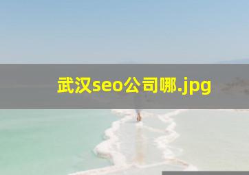 武汉seo公司哪