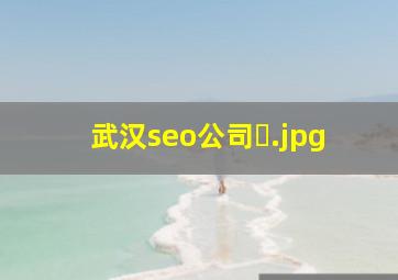武汉seo公司�