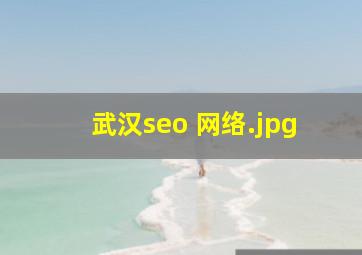 武汉seo 网络