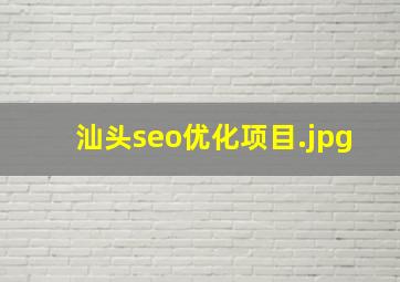 汕头seo优化项目