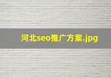 河北seo推广方案
