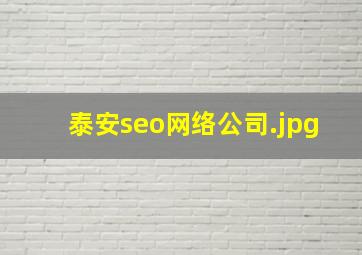 泰安seo网络公司