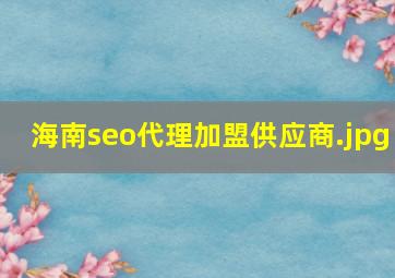 海南seo代理加盟供应商