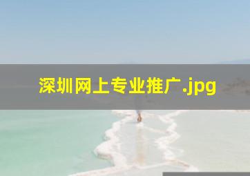 深圳网上专业推广