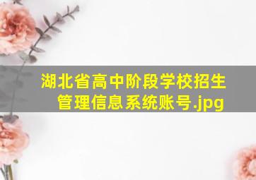 湖北省高中阶段学校招生管理信息系统账号