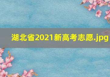 湖北省2021新高考志愿