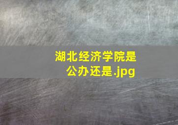 湖北经济学院是公办还是