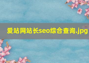 爱站网站长seo综合查询