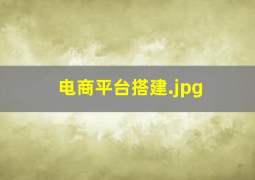 电商平台搭建