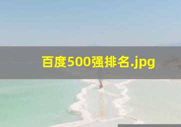 百度500强排名