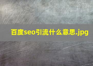 百度seo引流什么意思