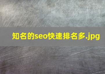 知名的seo快速排名多