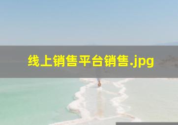 线上销售平台销售