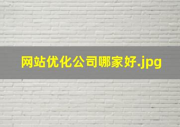 网站优化公司哪家好