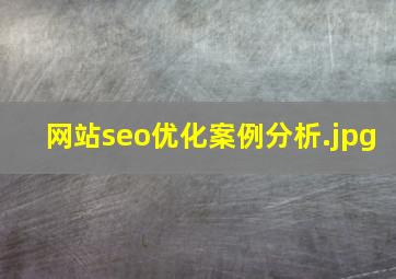 网站seo优化案例分析