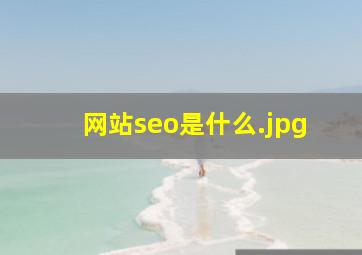 网站seo是什么
