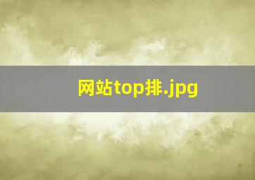 网站top排