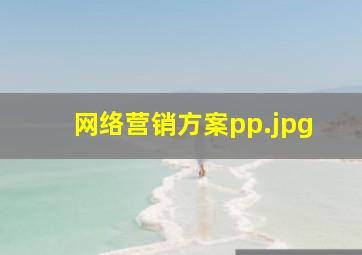 网络营销方案pp