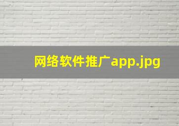 网络软件推广app