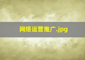 网络运营推广